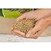 Agrarshop Rasensamen Rasen Universal 20 kg Grassamen Spielrasen Sportrasen