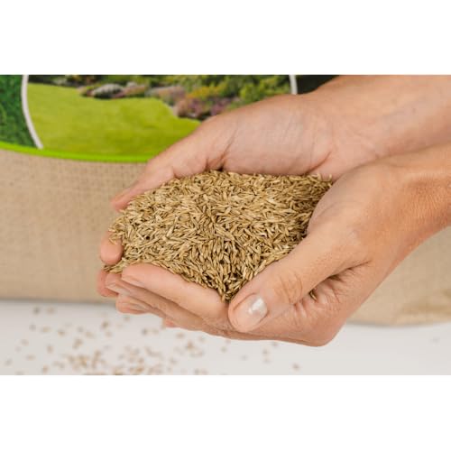 Agrarshop Rasensamen Rasen Universal 20 kg Grassamen Spielrasen Sportrasen