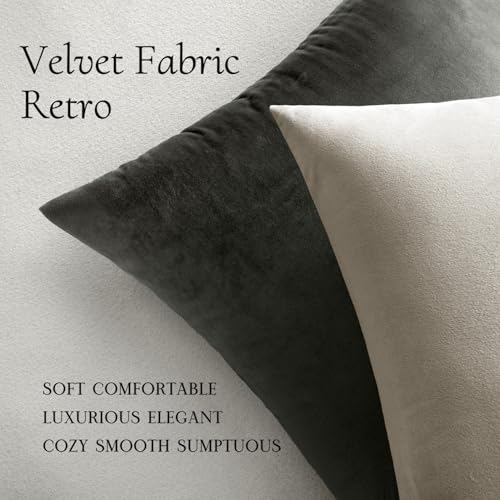 Image of MIULEE Pack of 2, Velvet Soft Soild Decorative Square Throw Pillow Covers Set Cushion Cases Pillowcases for Sofa Bedroom Car18 x 18 Inch 45 x 45 Cm
