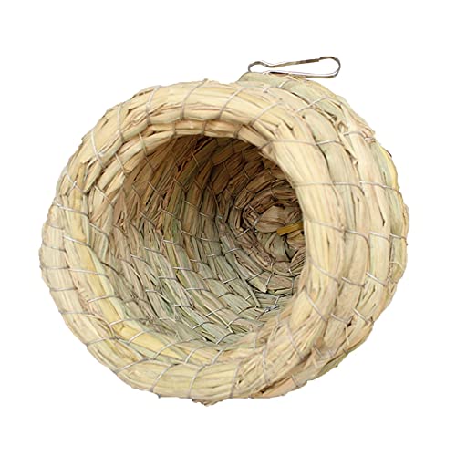 Why Are Elevated Dog Beds Good