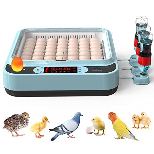 64 Egg Incubator with Humidity Display, Incubators for Hatching Eggs Automatic Temperature Monitoring, Automatic Water Adding Automatic Egg Turner Egg