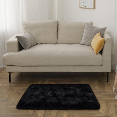 HOMORE Small Rugs for Bedroom 2x3 Feet Black Rug for Bedroom Bedside Soft Fluffy Area Rugs for Desk Indoor Entrance Door Mat, Small Runner Rugs and Carpets for Dorm Nursery