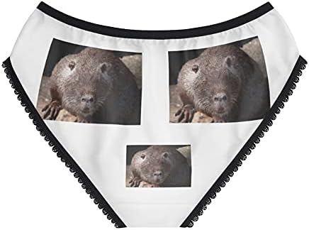 Nutria Panties, Nutria Underwear, Briefs, Cotton Briefs, Funny Underwear, Panties For Women