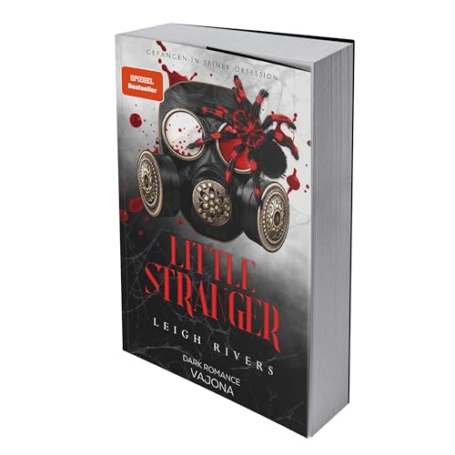 Book cover of Little Stranger: Gefangen in seiner Obsession (Web of Silence Duett)