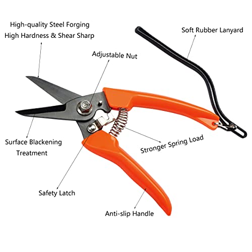 Kit d'outils de maréchal-ferrant couteau à boucle à pointe en laiton forgeron cheval testeur de détection de boiterie pince coupante à ongles lissage tampon à sertir