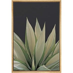 SIGNWIN Framed Canvas Wall Art Agave Havardiana in...