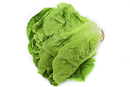 Fresh Produce Romaine Lettuce 1 Count