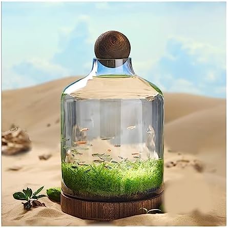 Eco-Friendly Fish Bowl Tank - Glass Bottle Miniature Landscape, Self-Circulating Plant Holder with Wooden Base, Ideal Desktop Aquarium Decor for Small Fish and Plants (Large)