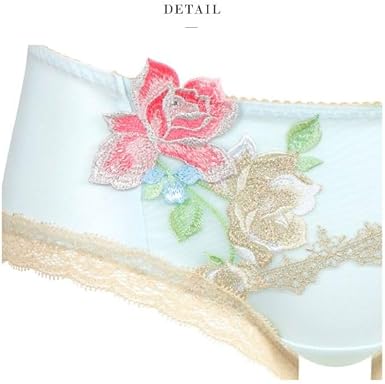 Amazon.co.jp: ワコール Wacoal サルート Salute 11G PTJ511 ボーイ