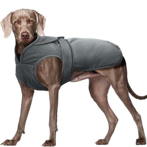 Kuoser Wasserdicht Hundemantel Hundejacke für Kleine Mittelgroße Hunde, Reflektierende Leinwand Wintermantel Große Hund Mantel Welpen Fleecejacke Wintermantel Hundeweste mit Gurtloch, XXL Grau