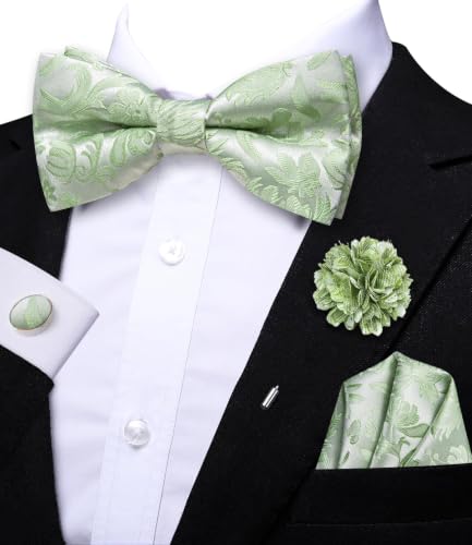 Image of Dubulle Mens Paisley Striped Bowtie Set Pre-tied Bowtie for Men and Pocket Square Set Wedding Business
