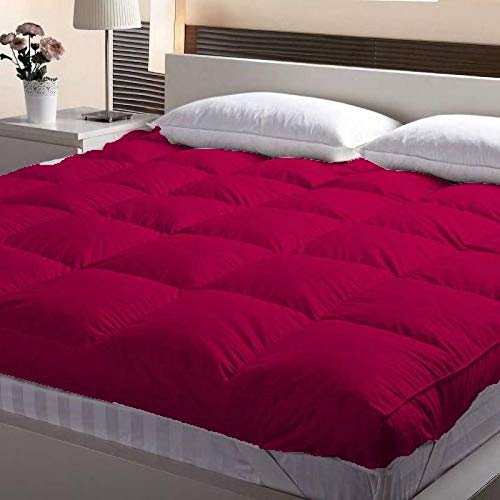 Jaipur Linen 3000 GSM Small Size Bed Finest Imported Super Microfiber Soft Mattress Padding/Topper- Wine-(36 * 72in)-image-14