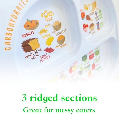 Manualidades, Toy material didactico plato del buen comer Marca j&m (3)