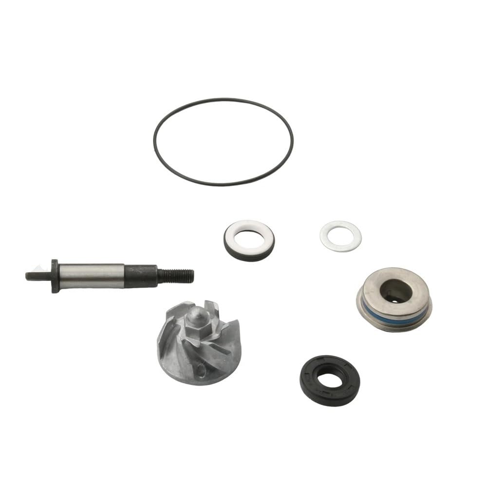 Pompe à Eau SH300 Forza300 NSS300 pour Honda