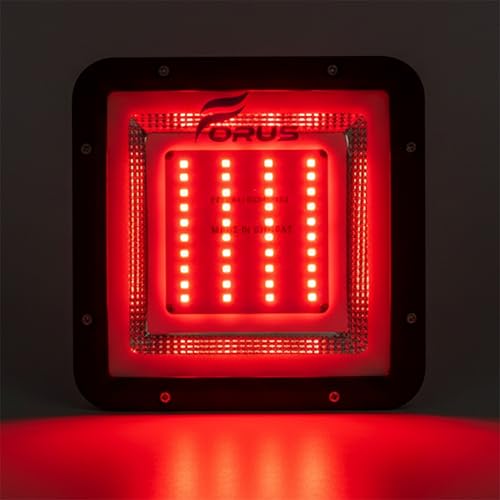 Image of Forus 30W Red Color Flood Light Outdoor LED Waterproof Decorative Focus Lamp for Home Garden Events Security Terrace Landscape Pathway Building Festival Stage Party Celebration Lighting - 1 Pc