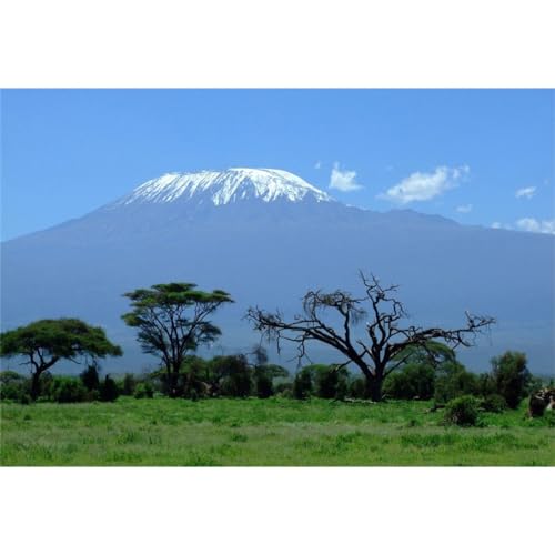 YongFoto 3x2,5m La Pradera Africana Fondo Pradera Árboles Monte Kilimanjaro Paisaje Natural Fondos de fotografía para africanos Vacaciones temáticas Foto de Retrato Accesorios para sesiones