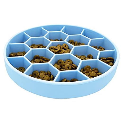 Mr. Peanut's Interactive Slow Feed Dog Bowl, Fun Healthy Bloat Stop Feeder (Medium)