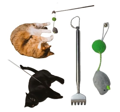 lR _ Εt lY~ DQ[ L w_ ̎