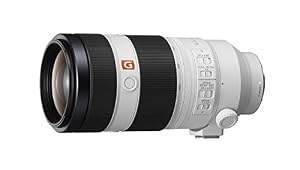 Sony FE 100-400mm F4.5 5.6 GM OSS Lens (Renewed) — photo 4 of 4