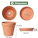 Orceler 6 inch Terracotta & Clay Pots for Plants with Saucer, Medium Terra Cotta Plant Pots with Drainage Hole, Flowerpot with Tray, Terracotta Pot for Indoor Outdoor Plant - Pack of 4 Planters