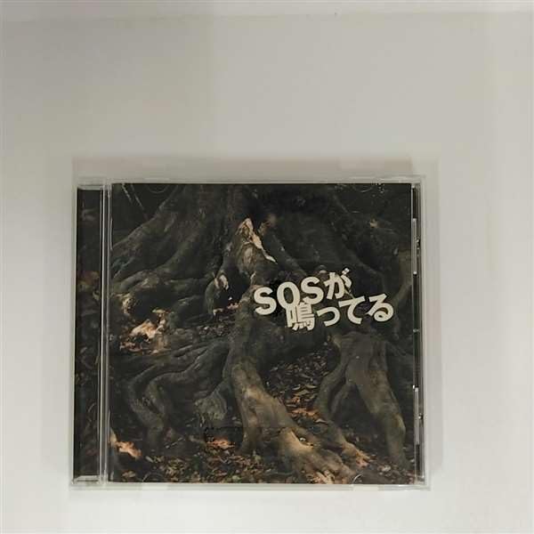 S.O.S ! ~sound of smile~ 生写真 🎵S.O.S！〜sound of smile〜🎵 / X