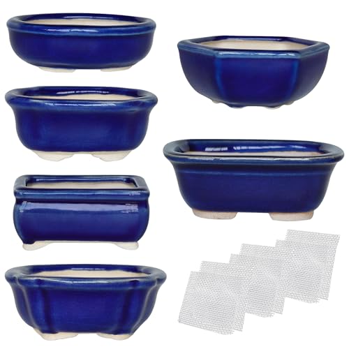 Bonsai Planter 6 pc Mini Glazed Succulent Pots Value Set + 6 Soft Mesh Drainage Screens
