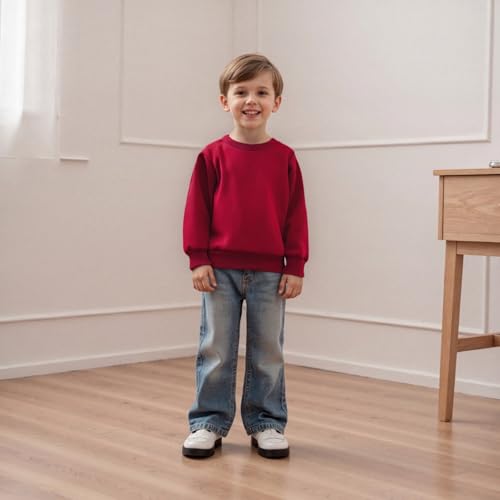 Toddler Kids Boy Girl Sweatshirt Solid Color Long Sleeve Round Neck Pullover Loose Tops2