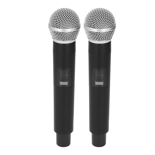 Microphone pour machine de chant sans fil Eujgoov rechargeable double micro