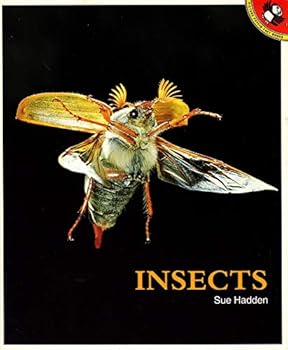 Insects (Weird and Wonderful)