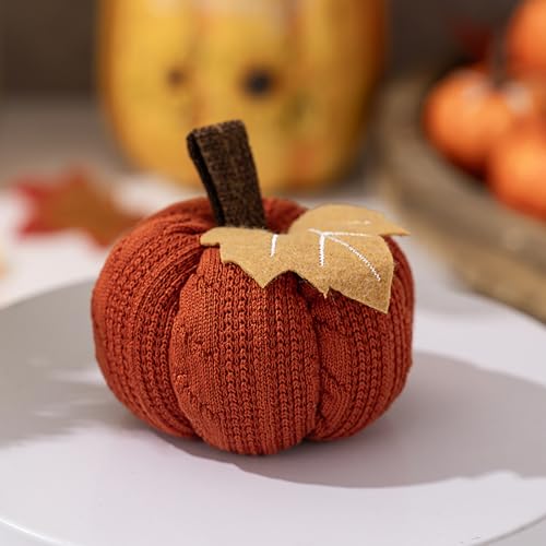 Citrouilles Thanksgiving Morain déco durable sans entretien