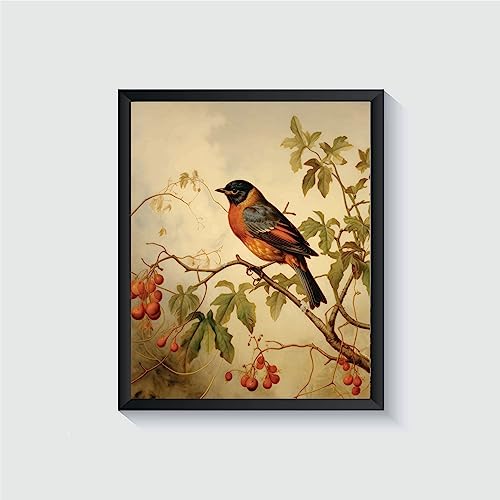 Affiche art vintage oiseau robin, décor mural rétro, 10" x 8"