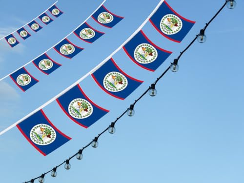 Image of Belize Banner Flag String, Belize Mini Flag Small Banner, for Party, Shops and Bars Decorations, (Belize)