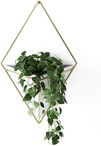 Umbra Trigg Hanging Planter Vase & Geometric Wall Decor Ceramic Container - Great For Succulent Plants, Air Plant, Mini Cactus, Faux Plants and More, Large, White/Nickel