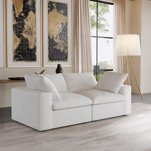 Image of JACH Modular Cloud Sectional Sofa, Love Seat Cloud Couch, Modern Comfy Sofas for Apartment Small Space, Covers Removable, Minimalist White Couch for Living Room