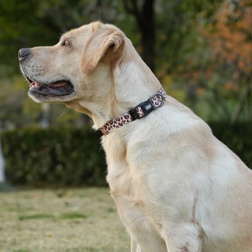 Olahibi Hundehalsband-Leinen-Set, Leopardenmuster, Polyester-Material, verstellbares Halsband und 1,5 m passende Leine, für Welpen (Größe XS, hellkaffeebraun, Leopard)