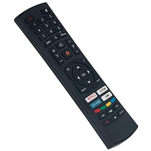 VINABTY Télécommande remplacée Convient pour Oceanic LE-40N3,LE-40T1,LE40-P28,OCEALED40S20B6V2,OCEALED40S20B6,OCEALED39S21B6,...