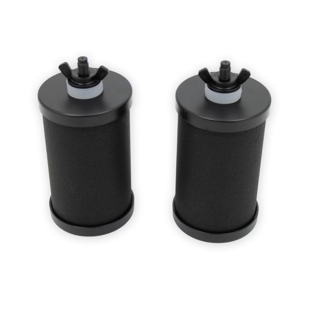 Cartuchos filtrantes para agua - 2 unidades - Filtran bacterias y cloro - Agua potable limpia en cualquier lugar - Compatibles con todos los filtros de agua Eaupure