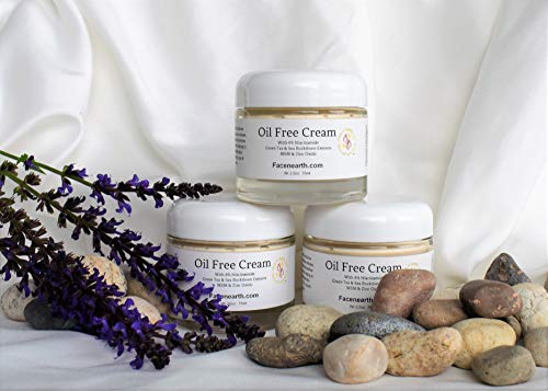 Face 'n' Earth, LLC Oil-Free Cream Niacinamide Vitamin B3 73% Organic Vegan Acne/Rosacea/Oily Skins pH Balanced 2.5oz