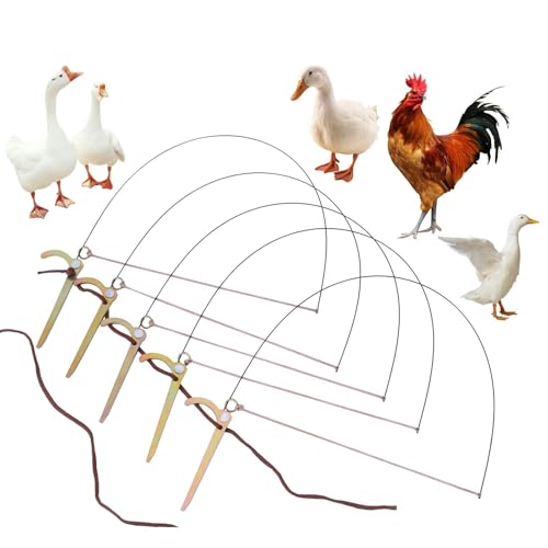 Trappola for fagiani e anatre, for uccelli di piccola, media e grande taglia, ha un ottimo effetto di cattura, può legare saldamente le zampe degli uccelli e non li ferirà, for fagiani, anatre, piccioni, tacchini, galli cedroni, ecc.