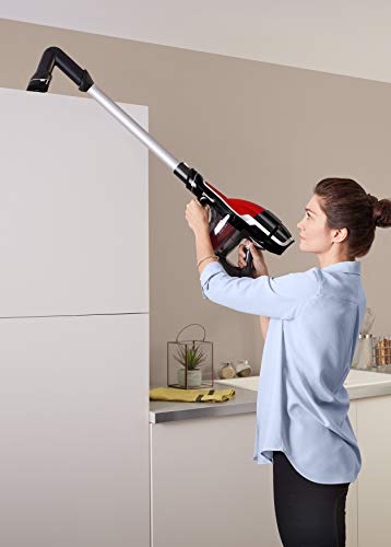 Rowenta ZR904101 - Spazzola per bordi mobili