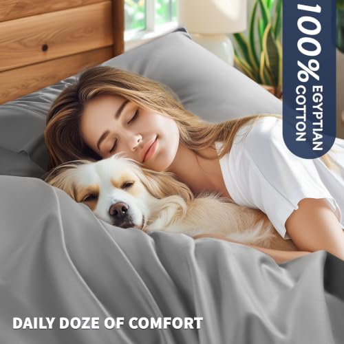 Shilucheng 100% Egyptian Cotton Sheets Set (Grey, Full) - image 2