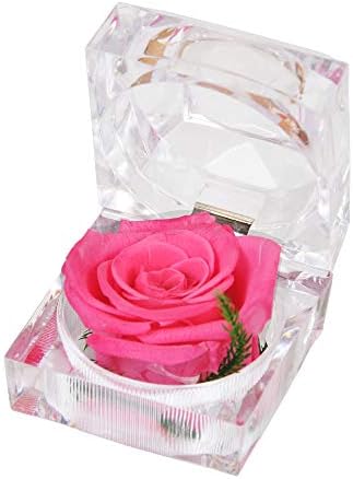 SANRAN Eternal Flower | Preserved Rose, Real Forever Rose in Delicate Metal Box, for Mom, Girlfriend, Her, Mother's Day, Valentine's Day, Thanksgiving Day, Christmas, Anniversary (Dark Violet)