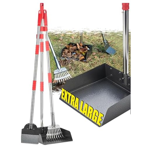 Heavy‑Duty Stainless Steel Rake And Tray Set