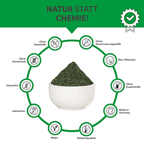 Bio Chlorella Pulver 500g | Premium Rohkost-Qualität | 100% reines Algen-Pulver ohne Zusätze | Zellwand gebrochen Vegan