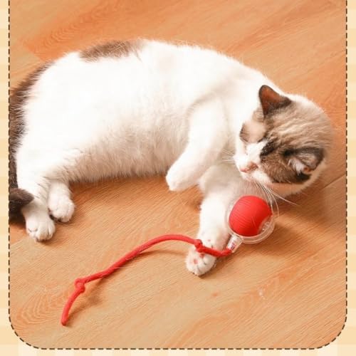 Donubiiu Magic Ball, Interaktiver Spielball, Kauzauber Ball für Hunde, Elektrisch Interaktiver Hundespielzeug Kauzauberball mit Schwanz (1 Stück)