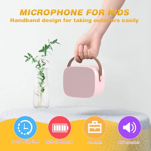 Portable Bluetooth Karaoke Microphone