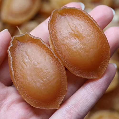 Dried Abalone Whole,Dried Abalone Slices,Dried Sliced Abalone,Supreme Dried Abalone,Abalone Dried Goods,Dry Seafood,Dry Seafood Abalone,Abalone,Dried Abalone Style Shellfish (500 Grams) #TOP3