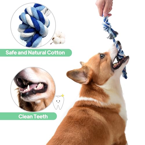TwoEar Dog Rope Toy 4 Pack - Puppy Teething Toys for Small Breed - Indestructible Dog Chew Toys for Aggressive Chewers - Cotton Tug of Wa...
