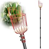 DonSail Fruit Picker Pole with Basket Telescoping, Citrus Orange Picker Pole with Basket 35-150 inch Long Handle, Mango Avocado Fig Acorn Pear Pomelo Chery Lemon Picker for Tree