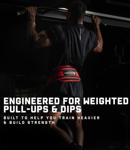 Image of Gymreapers Dip Belt With Chain For Weightlifting, Pull Ups, Dips - Heavy Duty Steel Chain For Added Weight Training